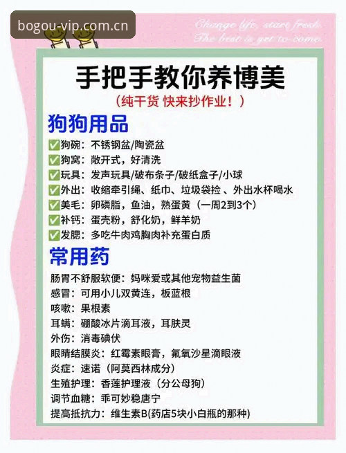 博狗官方网站到底怎么样？一个老用户的真实体验分享