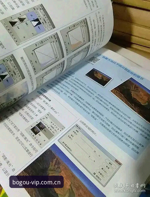 博狗真人娱乐完整指南：从入门到精通的实战操作手册