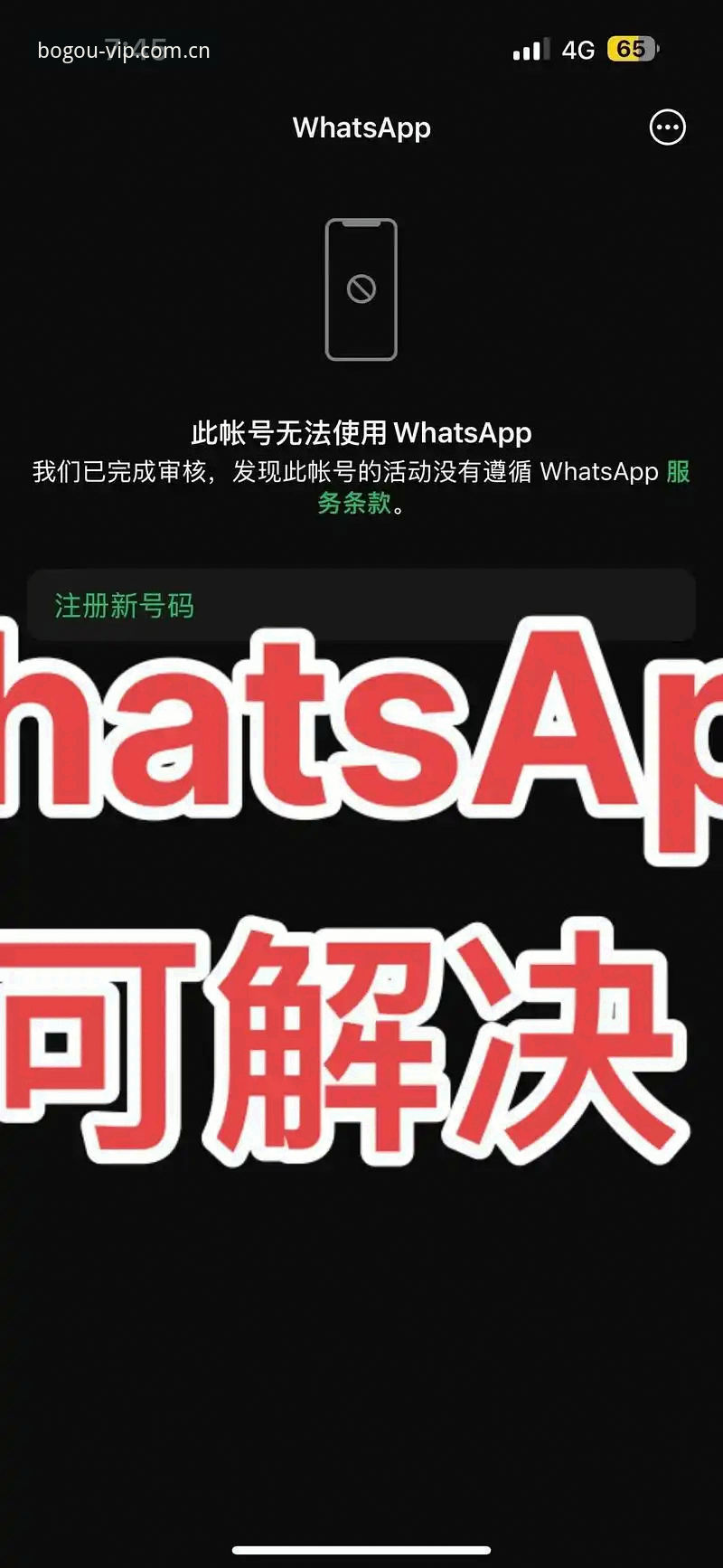 5个博狗体育APP常见问题全解析：从下载到功能升级的实用指南
