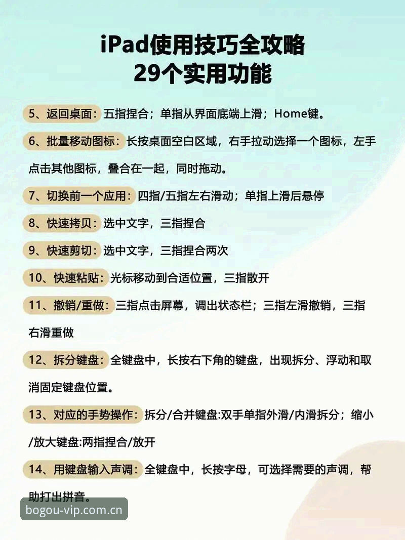 博狗网平台使用必备知识：从入门到精通的完整指南