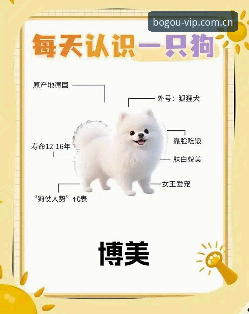 博狗娱乐平台vs传统线下娱乐：新手如何选择最适合自己的方式？